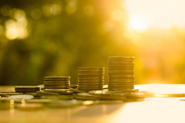 Money coin stack growing graph with sunlight