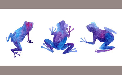 Naklejka premium Hand drawn watercolor frogs set