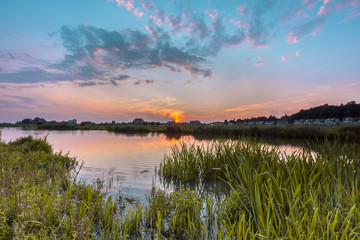 Rhine River forelands