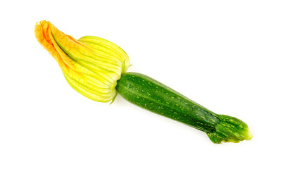 Macro closeup of zucchini flower