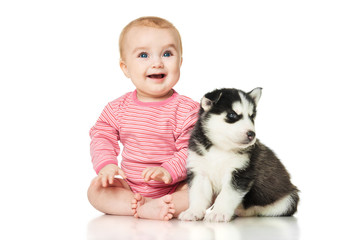 Fototapeta na wymiar Little girl with a puppy husky
