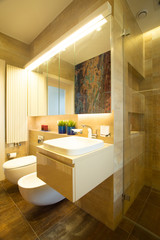 Bathroom with toilet and bidet