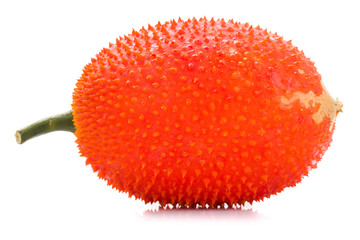 Baby Jackfruit on white background