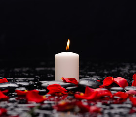 Beautiful rose petals with white candle and therapy stones