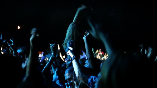 Shot of the crowd on the concert