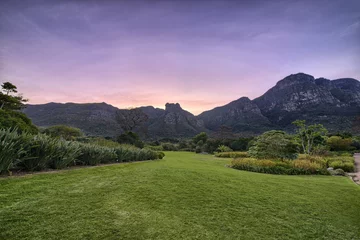 Fotobehang Kirstenbosch National Botanical Garden in Cape Town South Africa © softfocusphoto