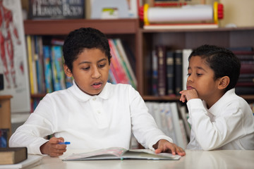 Hispanic Boys Studying Rocks