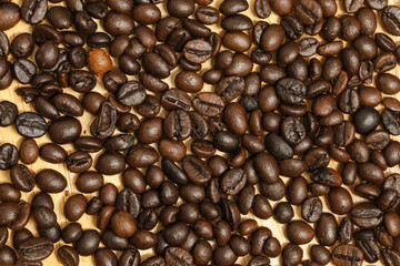 Obraz premium Coffee bean background.