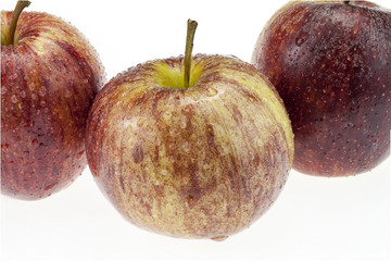 gala apple on white background cutout