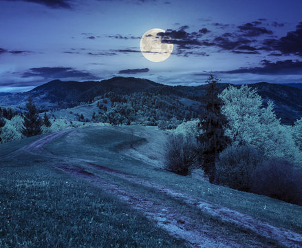 road on hillside meadow in mountain at night