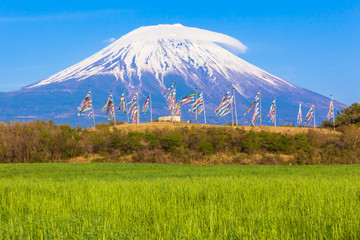 Fototapeta premium Colorful carp banners and Mount Fuji