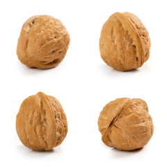 Four walnuts