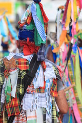 Fototapeta na wymiar Carnaval 2015 - 2em Parade Cayenne