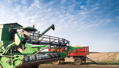 Fototapeta premium Pouring soy bean into tractor trailer