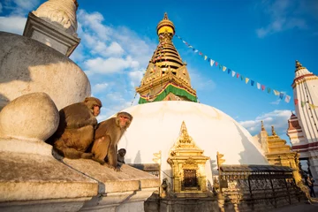 Plexiglas foto achterwand View of Swayambhunath Kathmandu, Nepal © Delicious