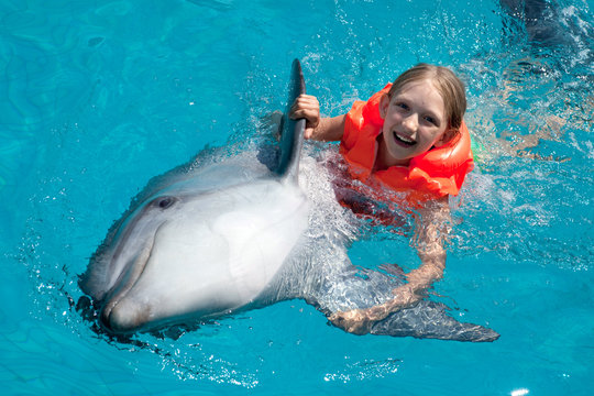 Happy Little Girl Riding the Dolphin in Swimming Pool