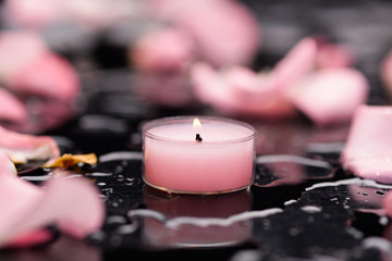 pink rose petals with pink candle and therapy stones