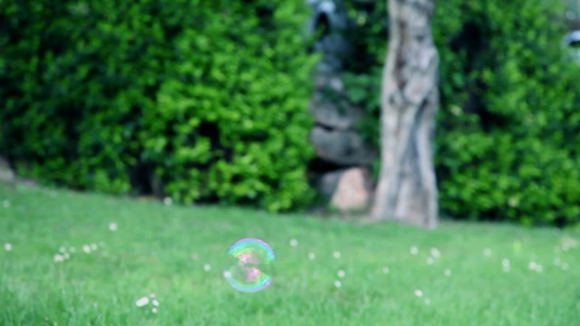Flying soap bubble on green lawn