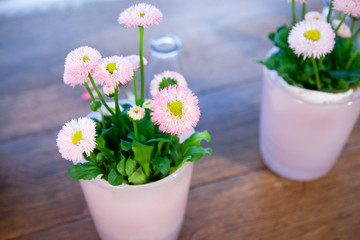 spring flower decoration