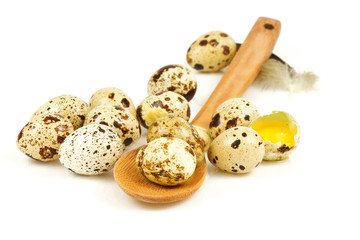 Obraz premium Quail eggs in a wooden spoon