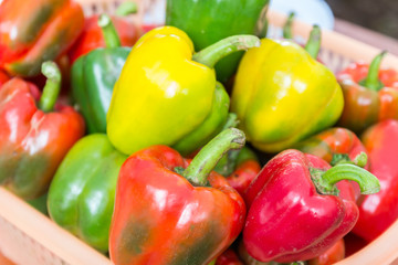 bell sweet pepper paprika
