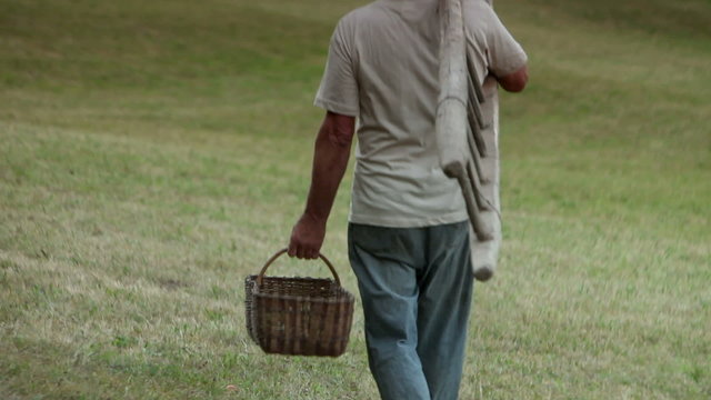 HD1080p: Senior man walking on meadow with a ladder and basket full of apples