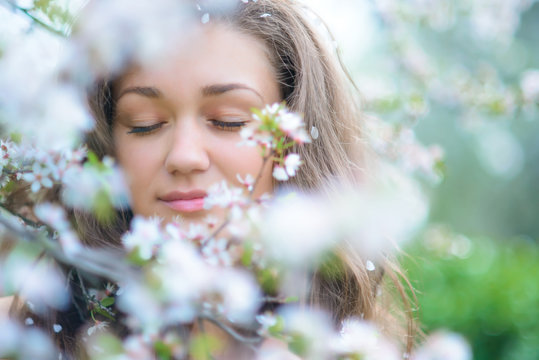 Blooming spring