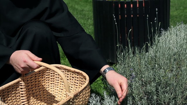Close up on hands of monk picking up herbs