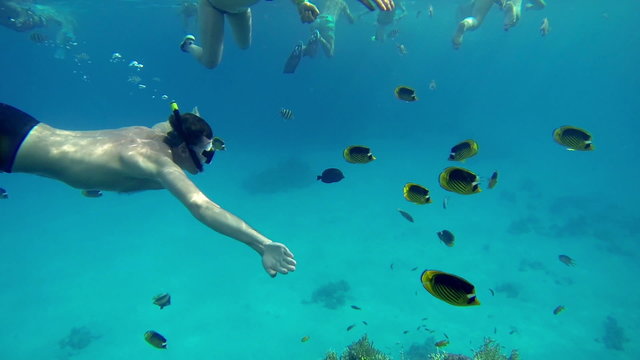 Sea and water life, people having fun, sea creatures with corals. Perfect tourism themed place.
