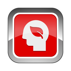 Chrome Square Button