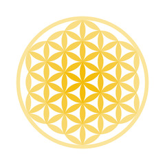 Flower of Life Symbol - Vector Set (Chakra Colours)