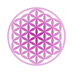 Flower of Life Symbol - Vector Set (Chakra Colours)