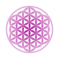 Flower of Life Symbol - Vector Set (Chakra Colours)