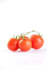 Tomato