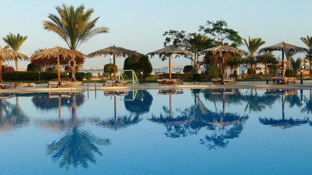 Swimming pool with palm trees in resort at morning