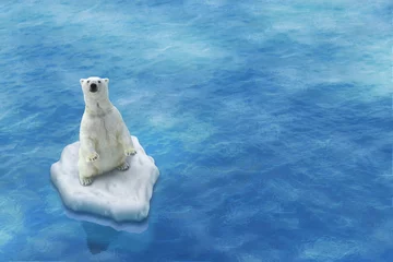 Fotobehang Ijsbeer Onze Blanc / Ice melting  © al1center