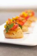 Ultimate Scallop
