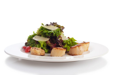 Scallop salad