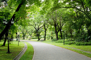 Stone Pathway in the Green Park
