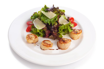 Scallop salad