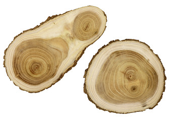 Obraz premium Cut wood