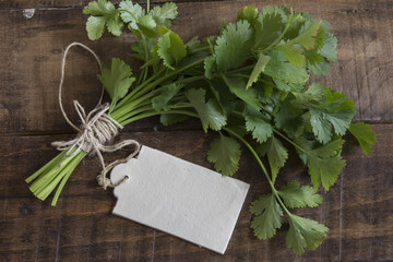 bouquet of fresh coriander or cilantro, price tag on white woode