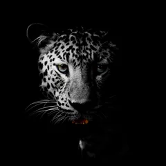 Gordijnen Luipaard portret © art9858