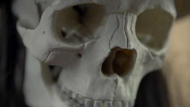 Close up of putting make up on a skull