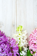 hyacinth flowers on wooden surface