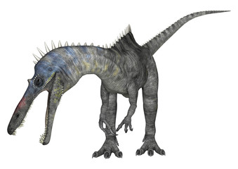 Dinosaur Suchomimus