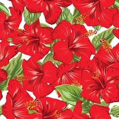 hibiscus tropic pattern