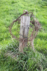 stacheldraht an holzpfahl