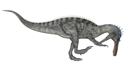 Obraz na płótnie Canvas Dinosaur Suchomimus