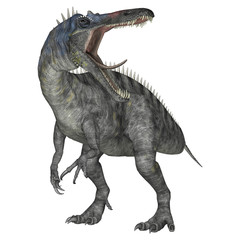 Naklejka premium Dinosaur Suchomimus
